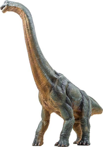 Realistic Brachiosaurus Illustration